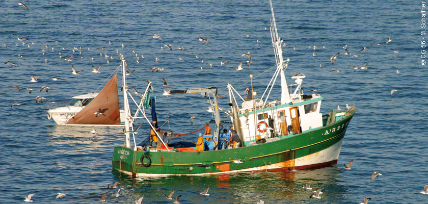 Bateau de pêche côtière