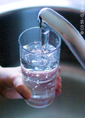 La consommation de l'eau du robinet