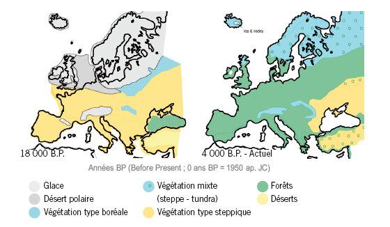 Evolution de la végétation en Europe depuis 18 000 ans