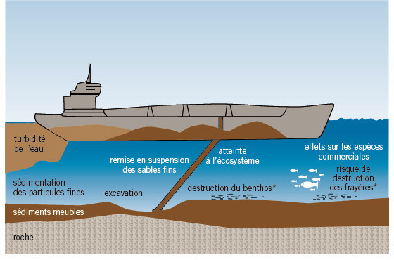 Synthèse des impacts directs de l’extraction de granulats marins