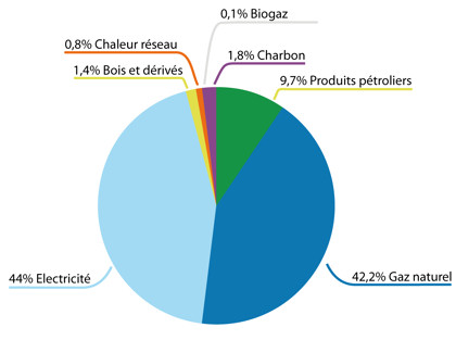 Nature de la consommation énergétique de l'industrie bretonne en 2011