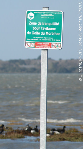 Zone de tranquilité pour les oiseaux en baie de Sarzeau