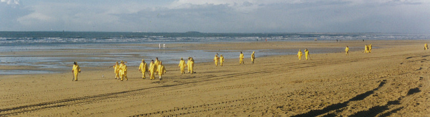 Opération de nettoyage lors de la marée noire de l'Erika en 1999